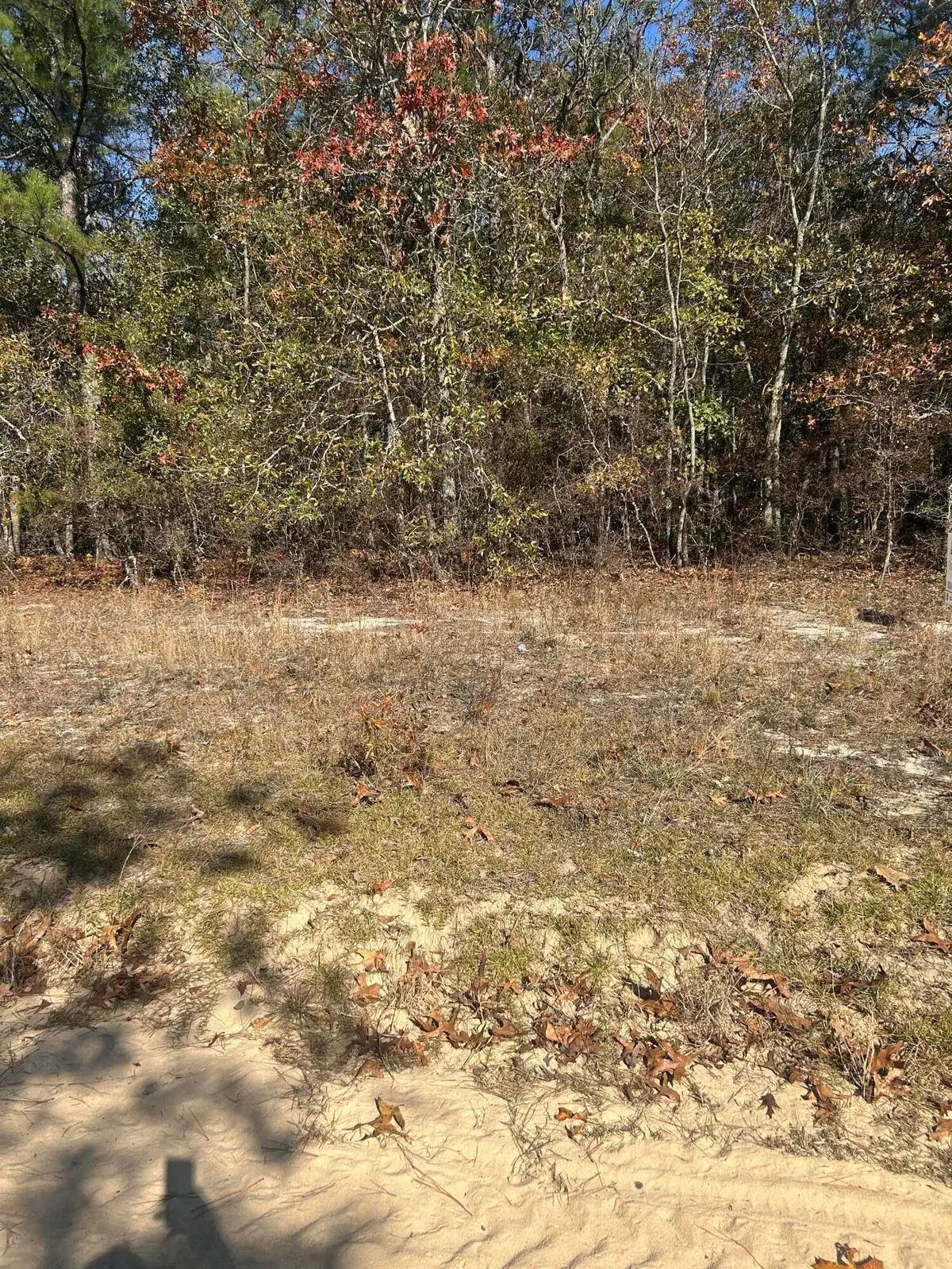 0 Hawthorne Trail, Saint Matthews, SC 29135 - #1