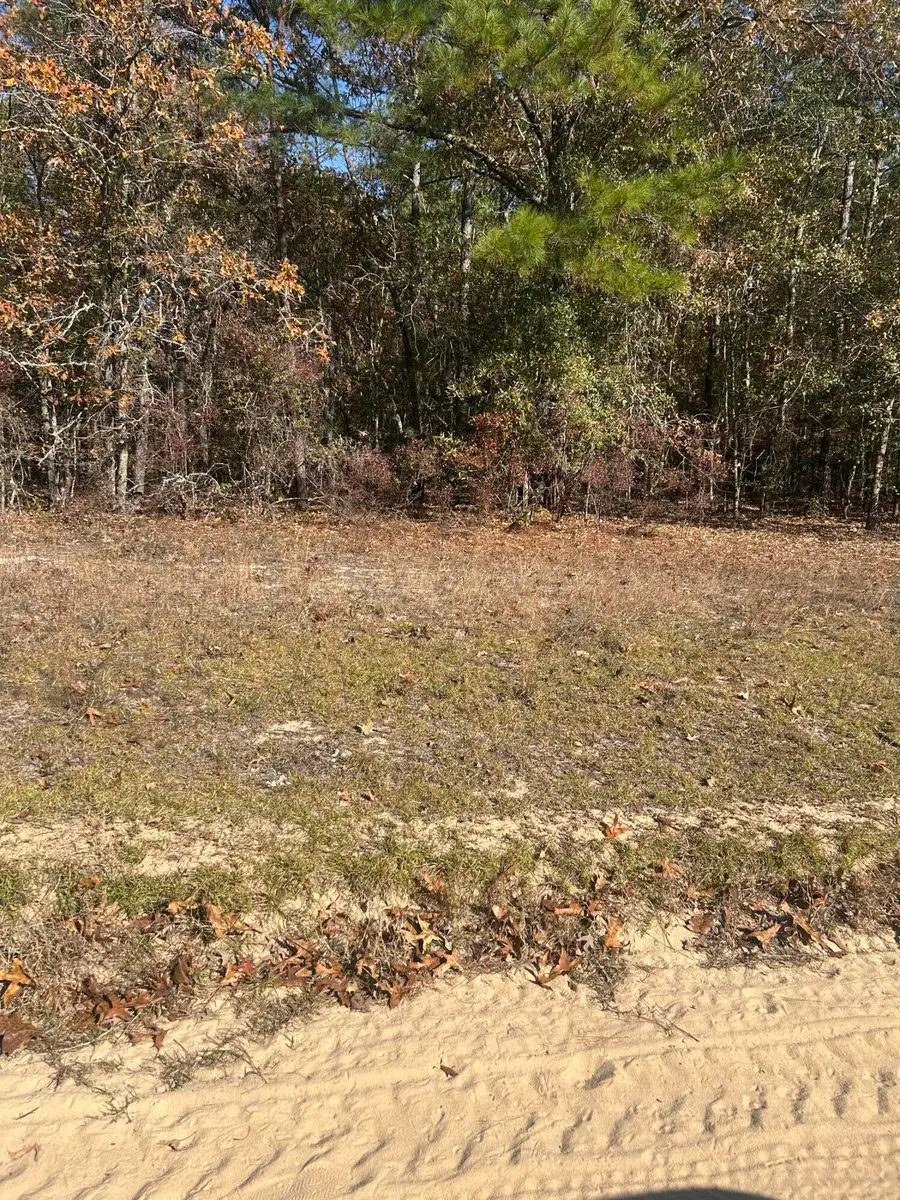 0 Hawthorne Trail, Saint Matthews, SC 29135 - #2