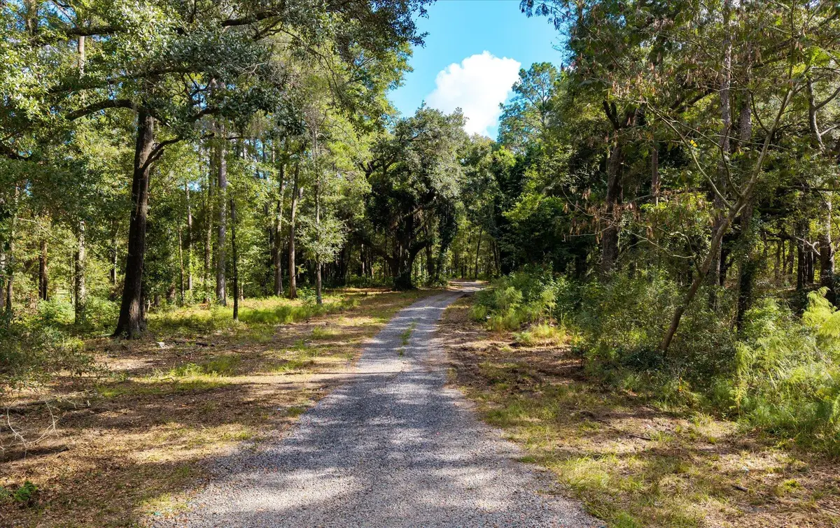 1020 Hidden Acres Path, Johns Island, SC 29455 - #1