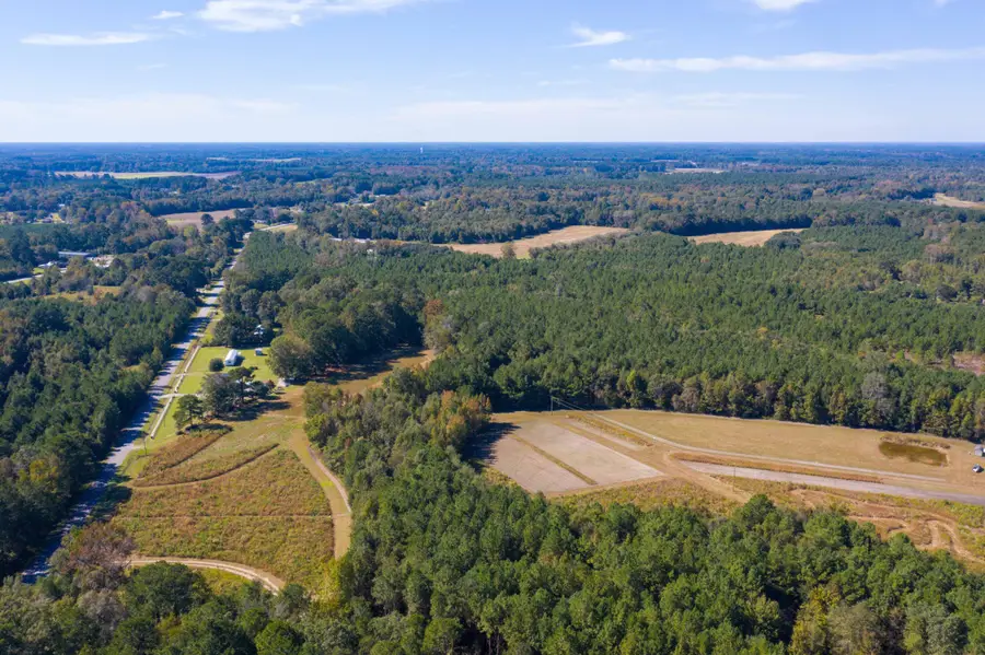 0 White House Pond Road, Harleyville, SC 29448 - #2