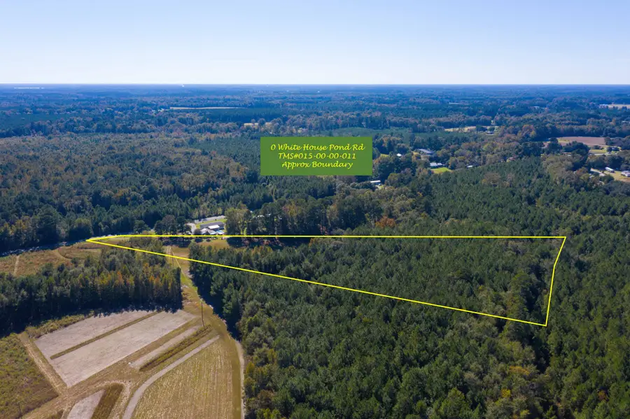 0 White House Pond Road, Harleyville, SC 29448 - #3