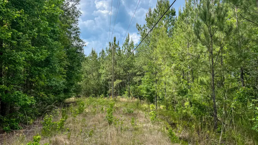 0 Peurifoy Road, Walterboro, SC 29488 - #2