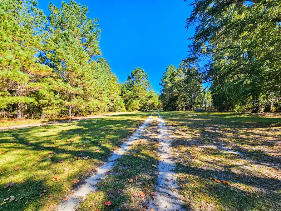 2869 Turkey Cut Road, Smoaks, SC 29481 - #3
