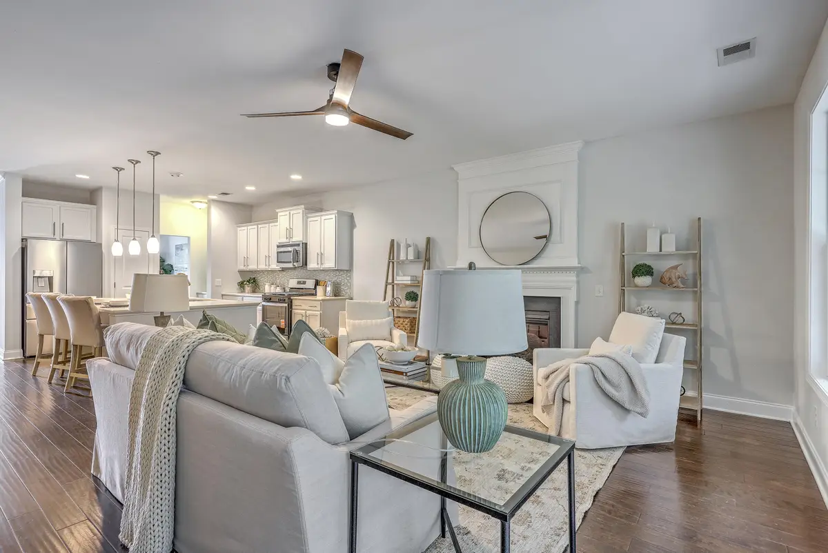 421 Turnstone Street, Mount Pleasant, SC 29464 - Image #1