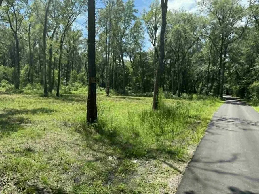 133 Boykin Lane, Ridgeville, SC 29472 - #3