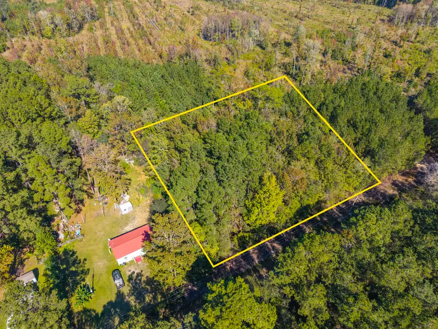 905 Peurifoy Road, Walterboro, SC 29488 - #2