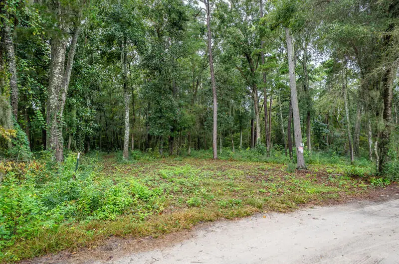 44 Presnell Circle, Beaufort, SC 29902 - Image #1