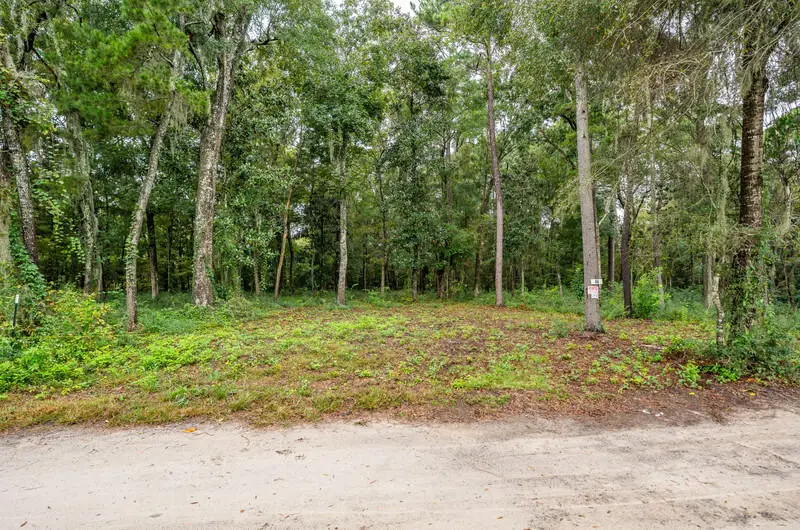 44 Presnell Circle, Beaufort, SC 29902 - Image #2