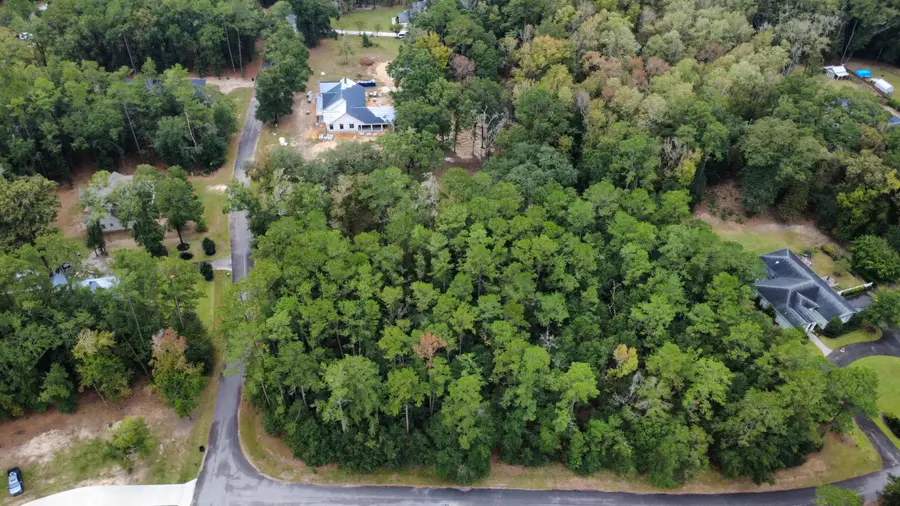 Lot 10 Plantation Lane, Walterboro, SC 29488 - #2