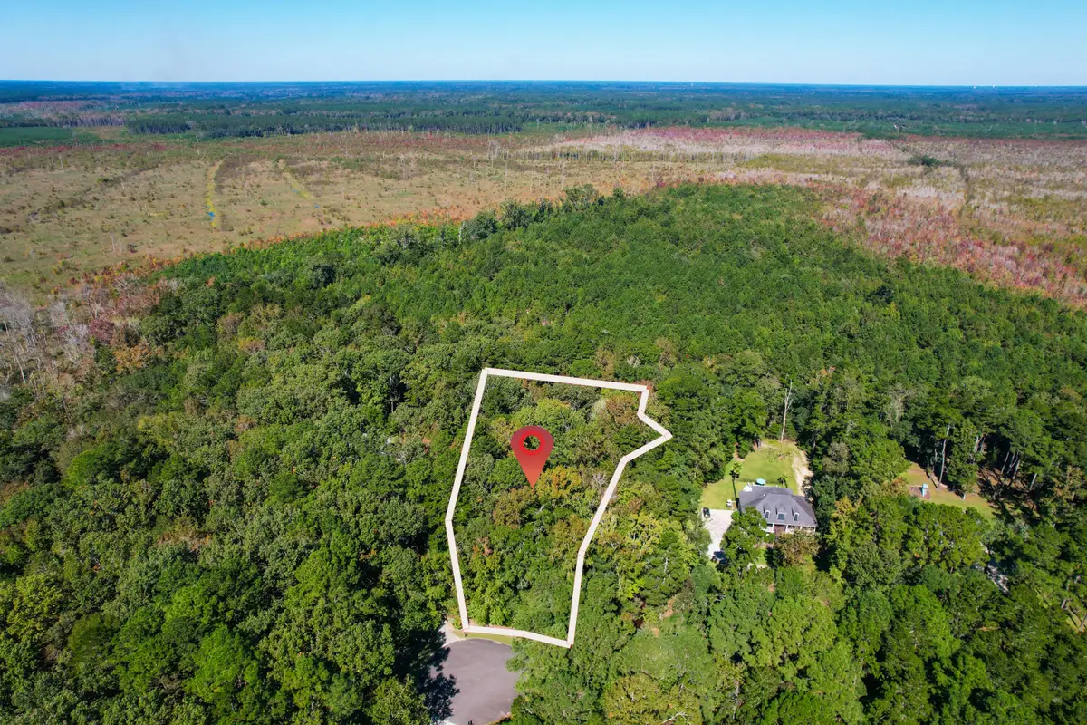 6682 Pepper Grass Trail, Ravenel, SC 29470 - #1