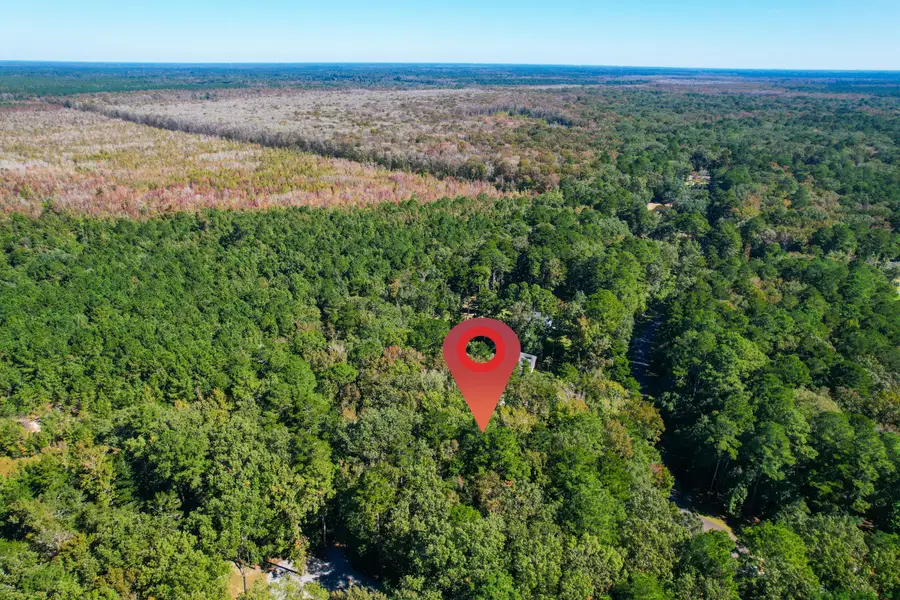 6682 Pepper Grass Trail, Ravenel, SC 29470 - #2