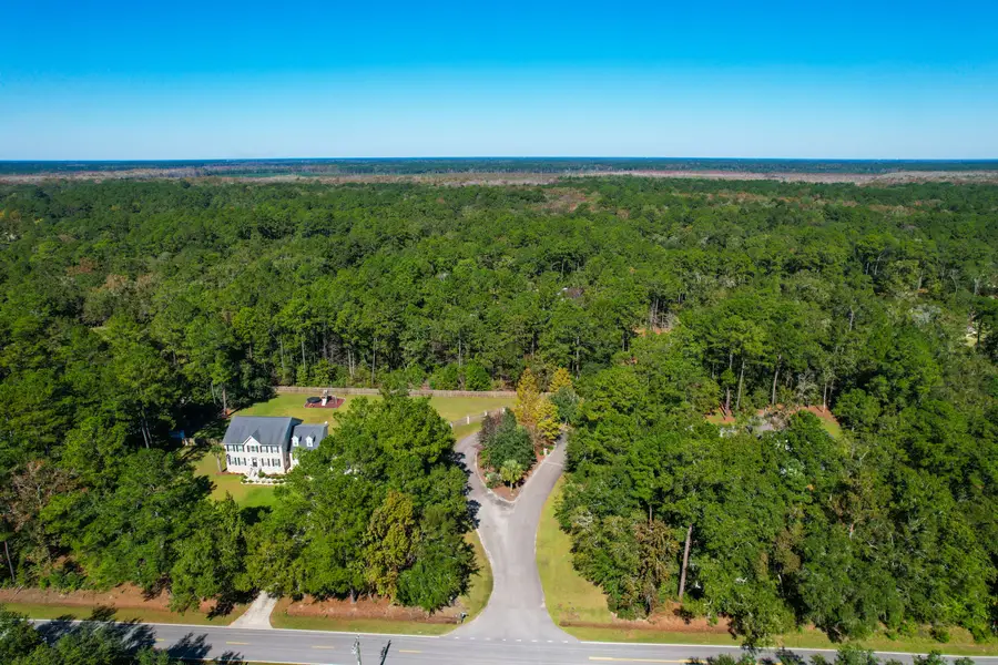 6682 Pepper Grass Trail, Ravenel, SC 29470 - #3