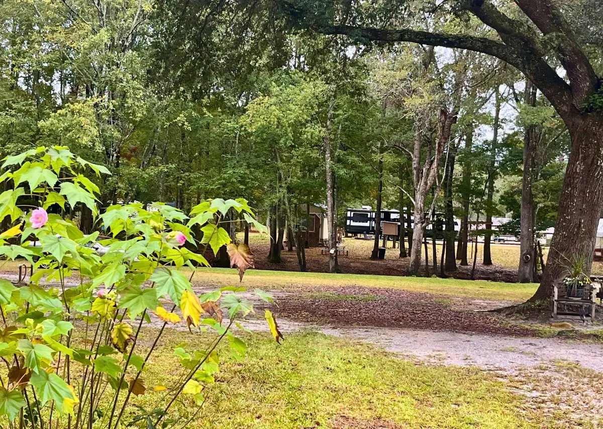 0 Catfish Court, Ridgeville, SC 29472 - #1