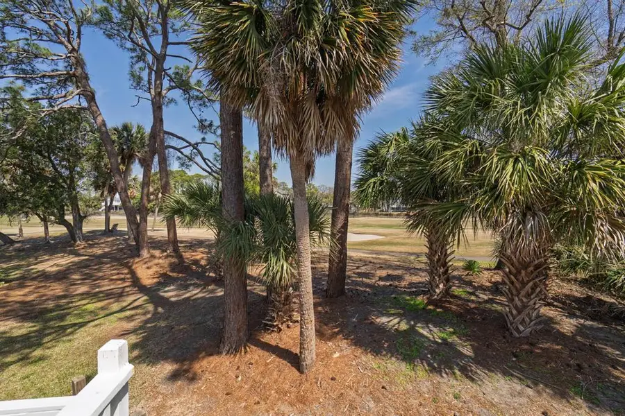 60 Rice Lane, Edisto Beach, SC 29438 - #2