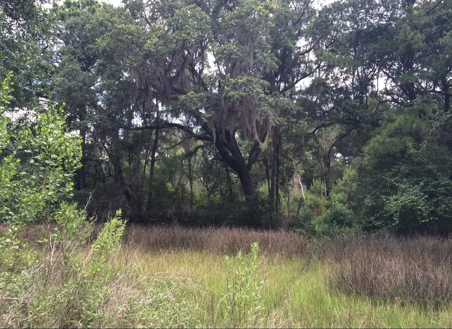 2907 River Road Road, Johns Island, SC 29455 - #2