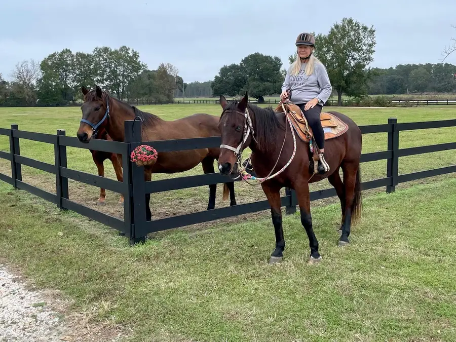 294 Nates Store Road, Cameron, SC 29030 - Image #3