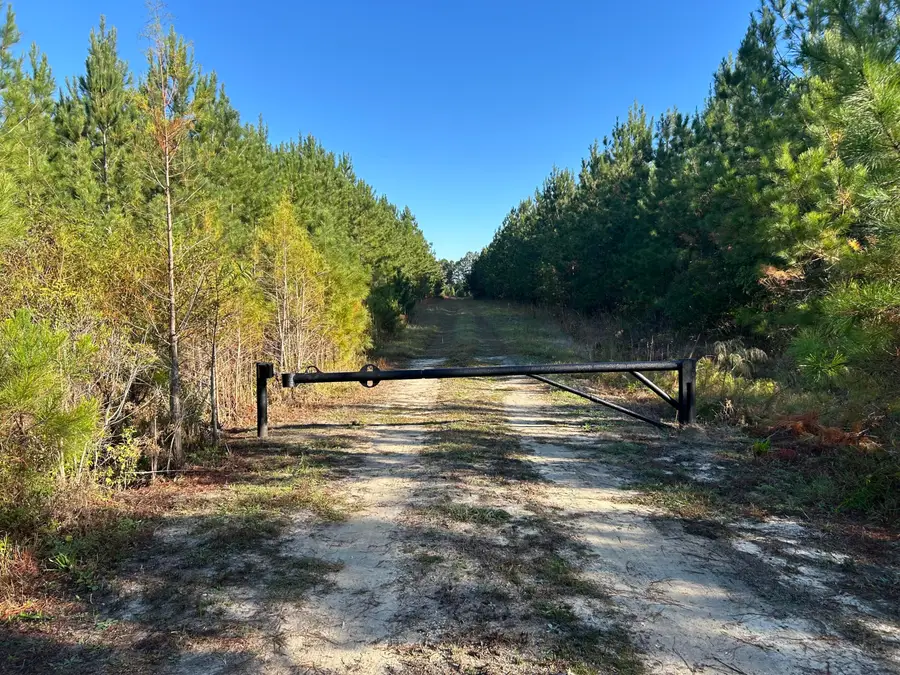 24 Highway 311, Cross, SC 29436 - #2