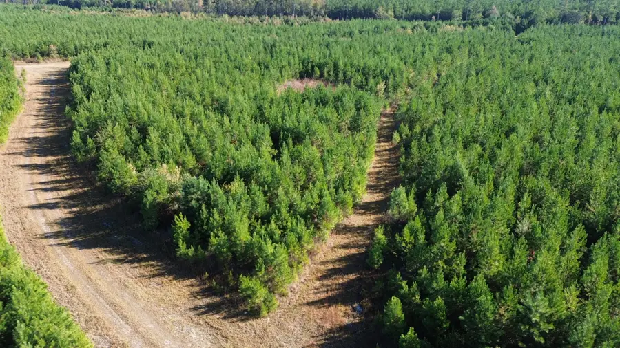 24 Highway 311, Cross, SC 29436 - #3