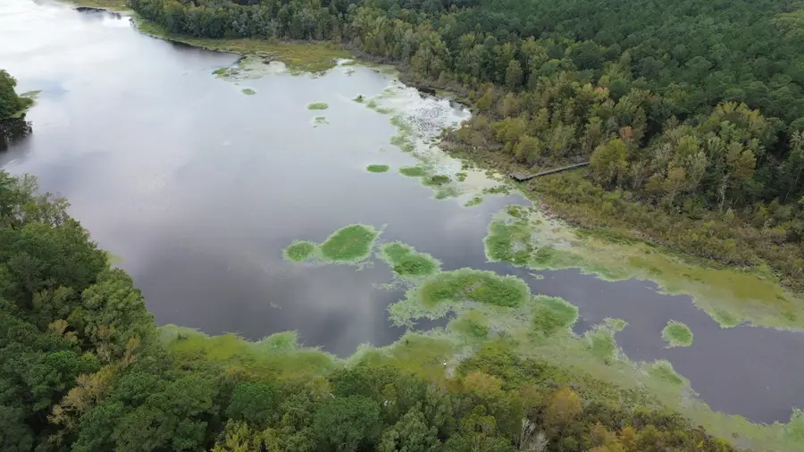 0 Jasper Lane, Summerton, SC 29148 - #3