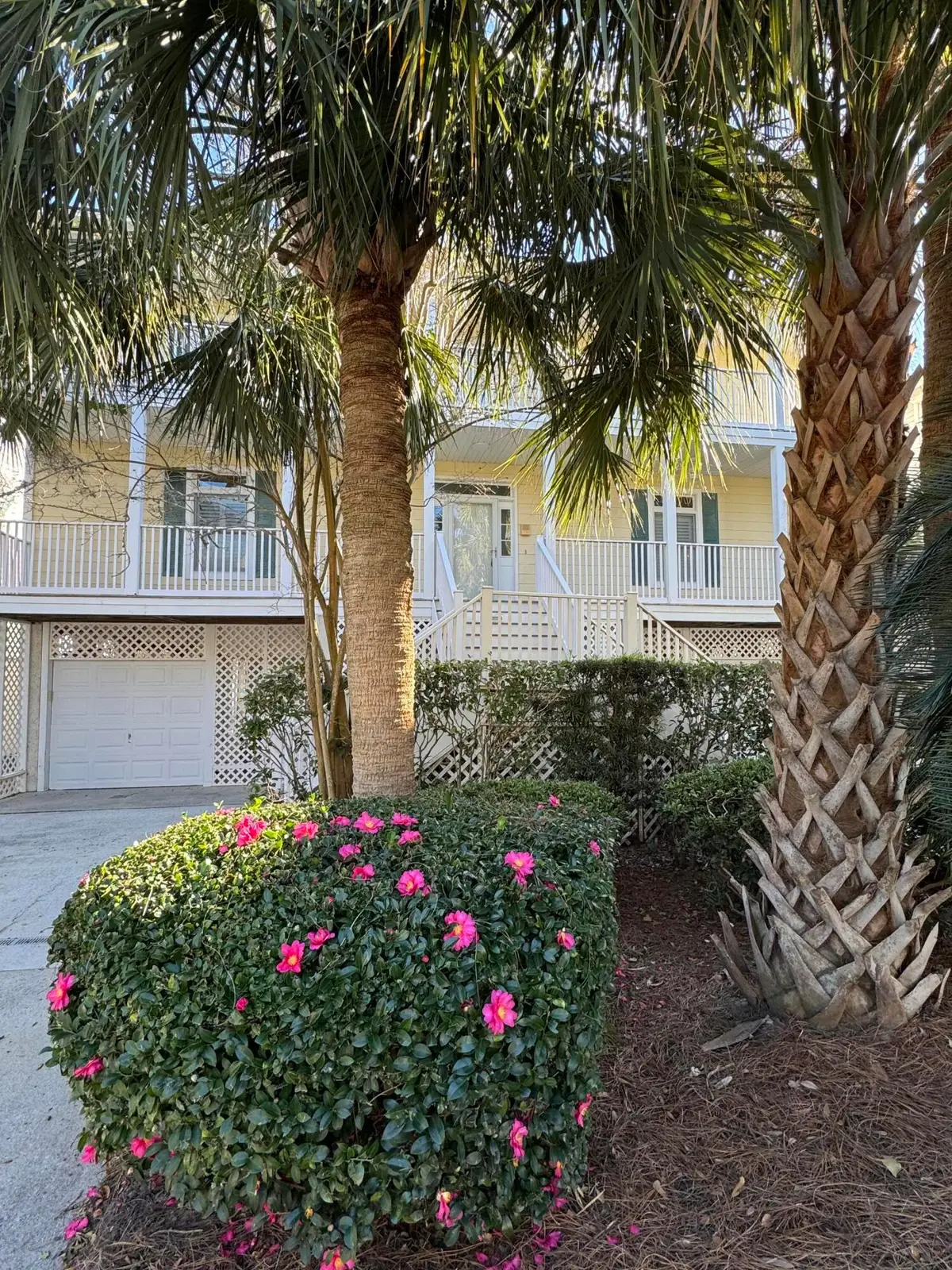 6 Morgan Place Drive, Isle Of Palms, SC 29451 - #1