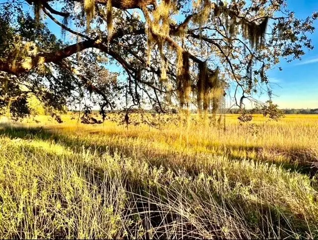 481 Paige Point, Seabrook, SC 29940 - #1