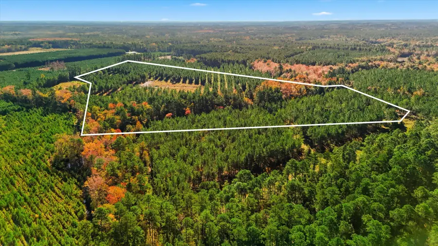 815 Rentz Drive, Walterboro, SC 29488 - #3