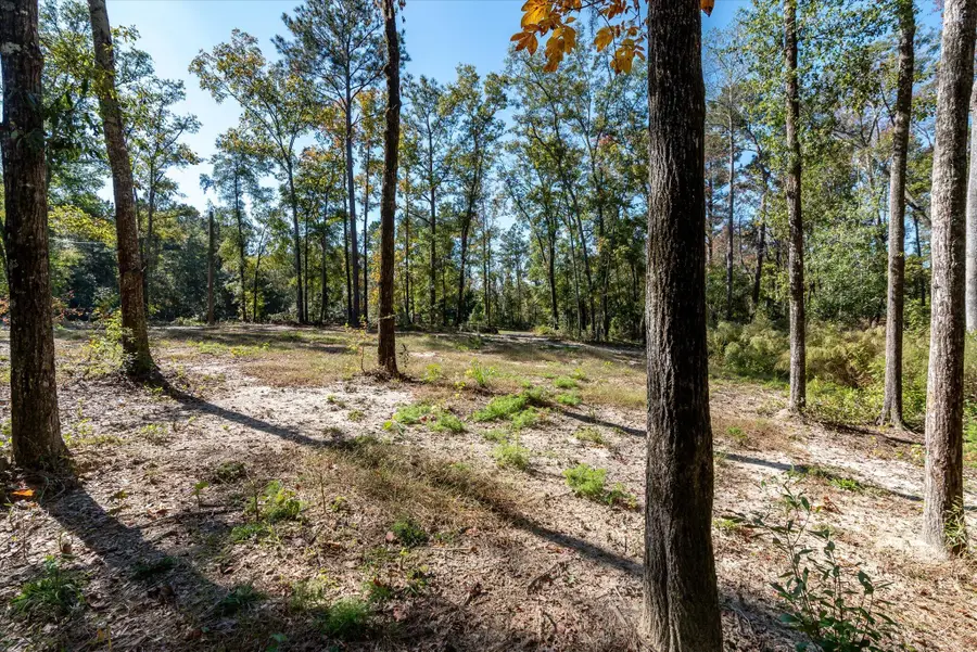 3022 Burlington Road, Walterboro, SC 29488 - #3