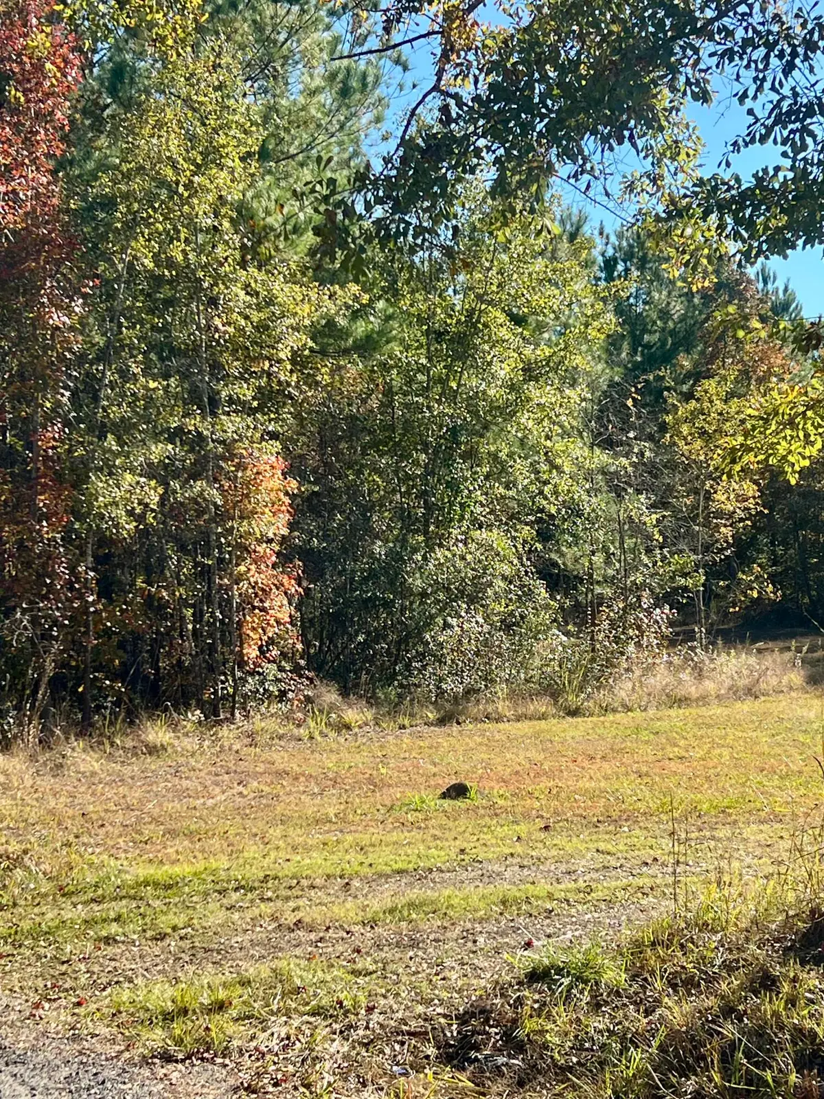 00 Saint Julian Drive, Cross, SC 29436 - #1