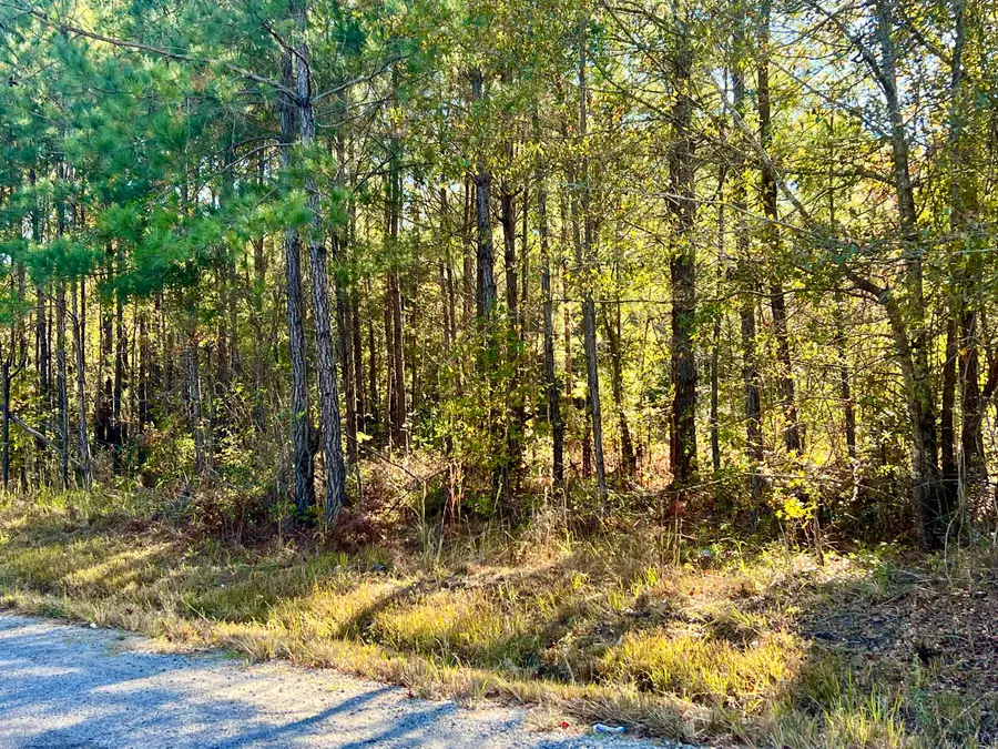 00 Saint Julian Drive, Cross, SC 29436 - #2