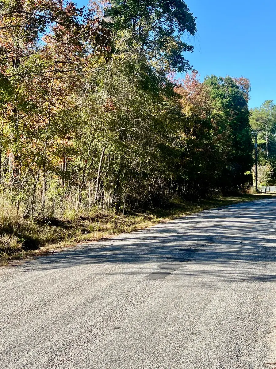 00 Saint Julian Drive, Cross, SC 29436 - #3