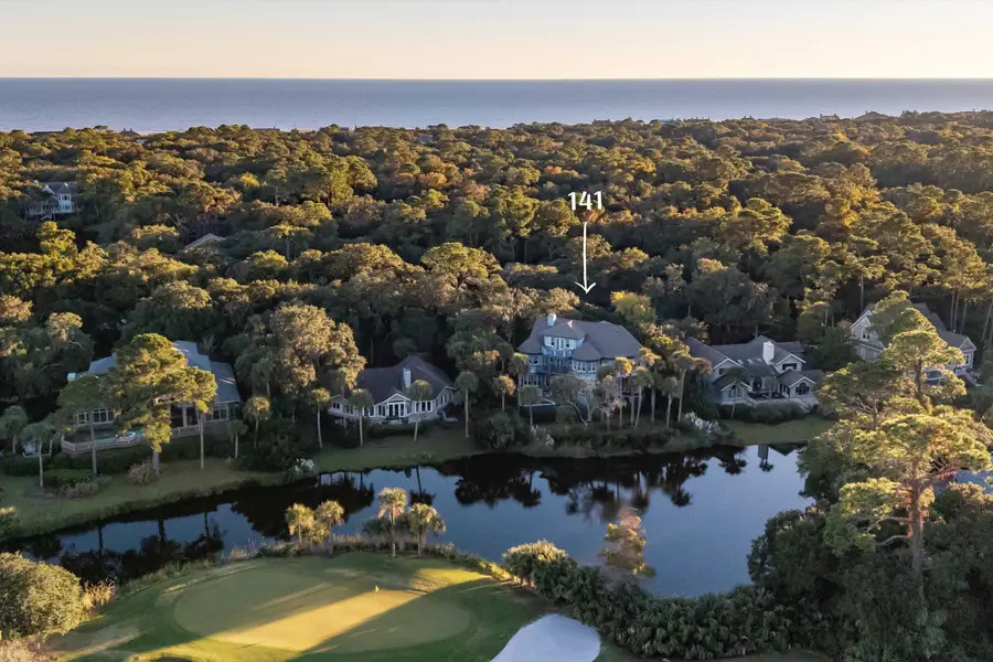 141 Hooded Merganser Court, Kiawah Island, SC 29455 - #2