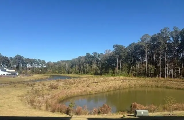 418 Great Egret, Summerville, SC 29486 - #1