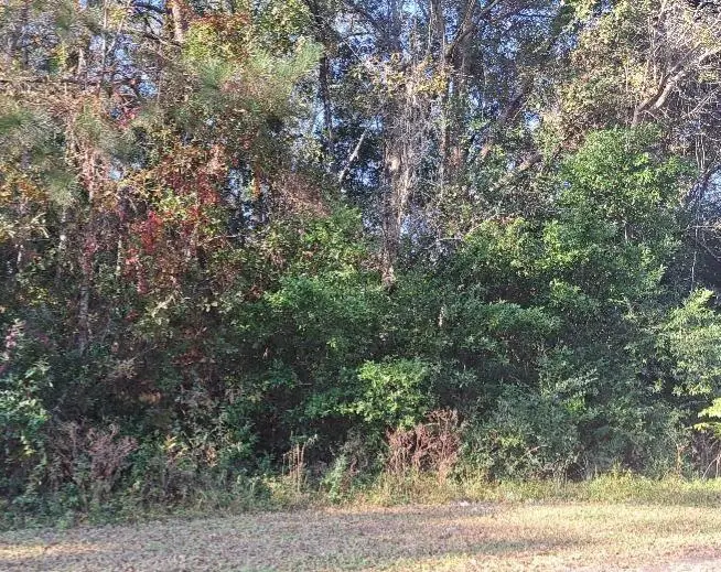 38-121 Hampton Street, Elloree, SC 29047 - #3