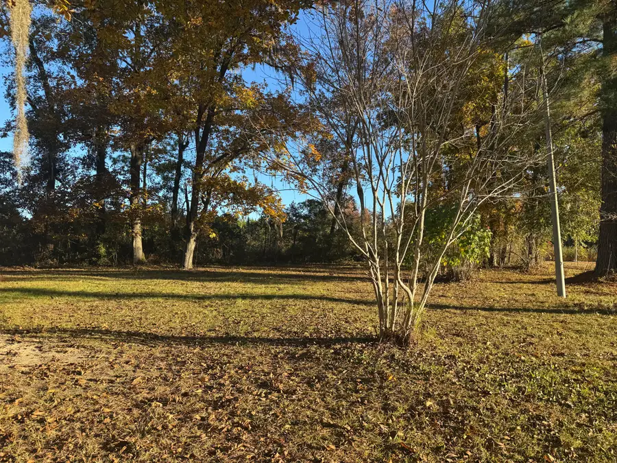 201 Creek Road, Reevesville, SC 29471 - Image #3