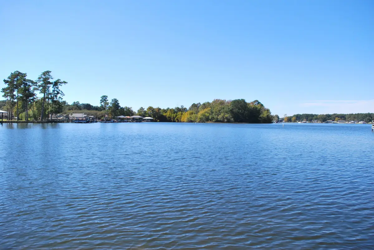 2985 Hwy 260, Manning, SC 29102 - #1