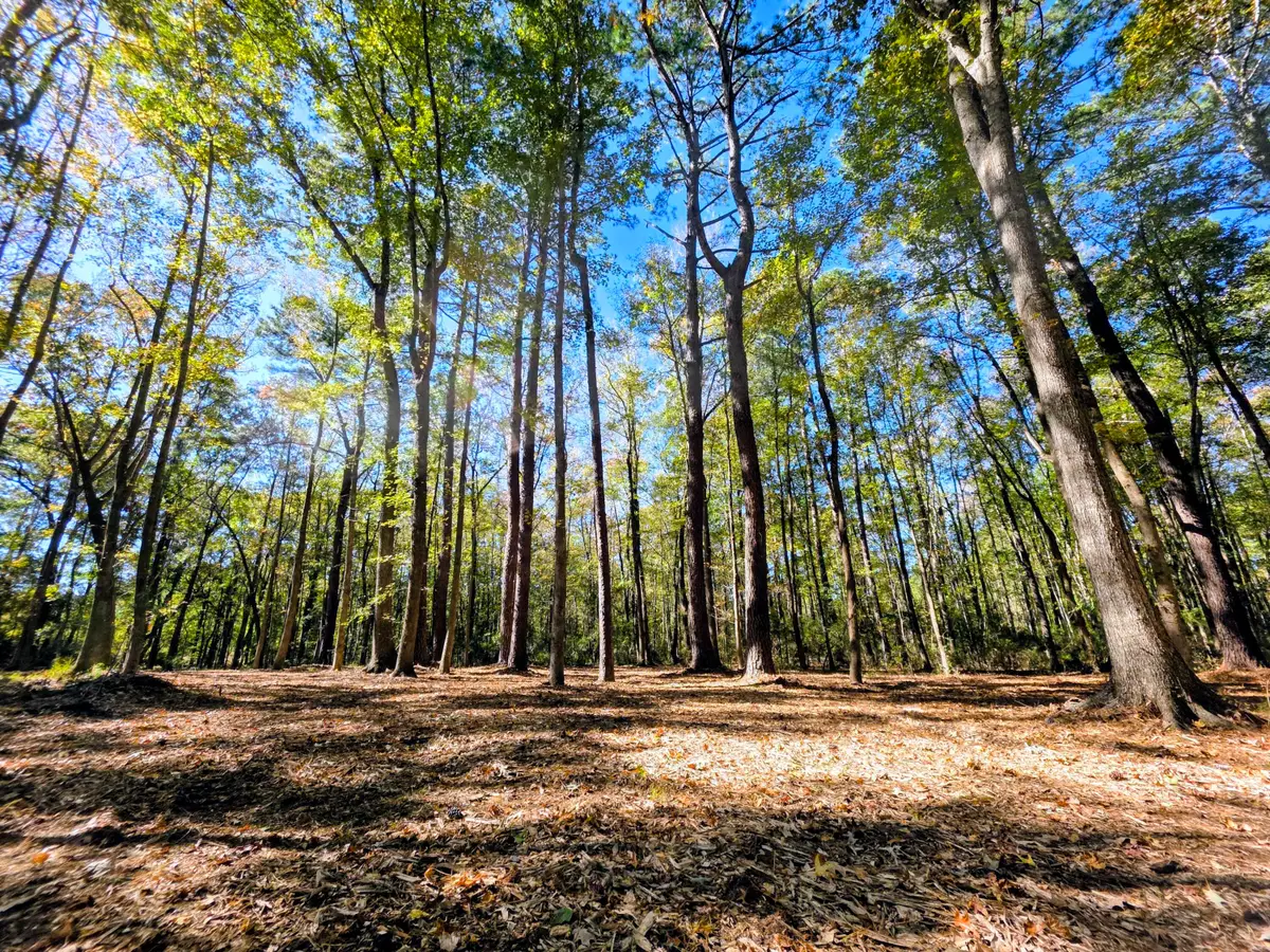 3047 Fickling Hill Road #C-2, Johns Island, SC 29455 - #1