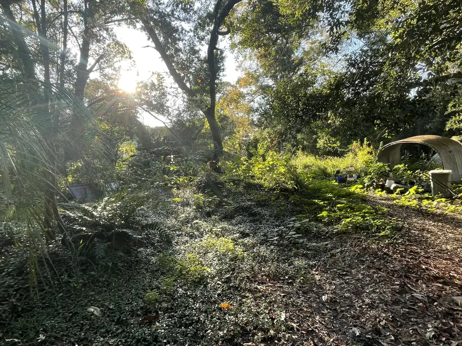 7690 Toogoodoo Road, Meggett, SC 29449 - #2