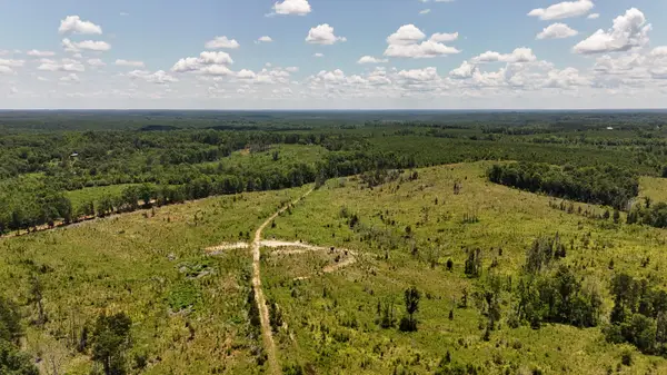 0 Halsellville Rd Road, Chester, SC 29706