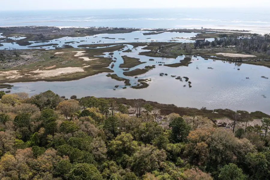 203 Lake Timicau Lane, Dewees Island, SC 29451 - #2