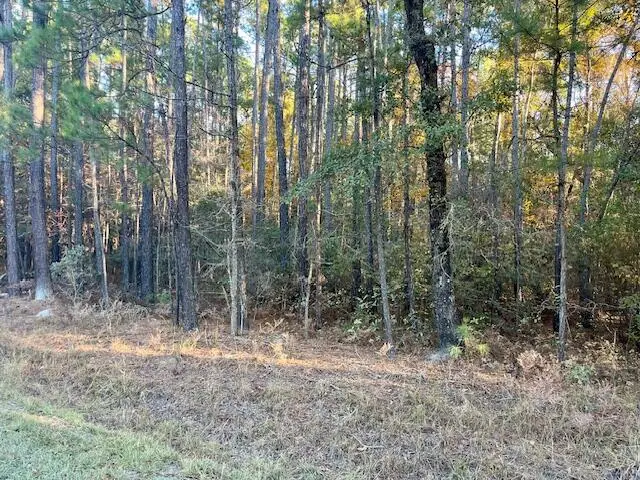 00 Second Texas Road, Saint George, SC 29477 - #3