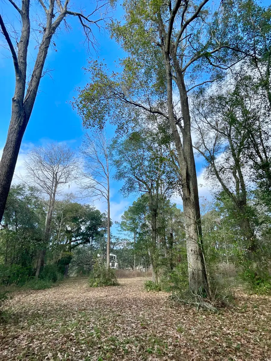 1962 Bradham Road, Charleston, SC 29412 - #2