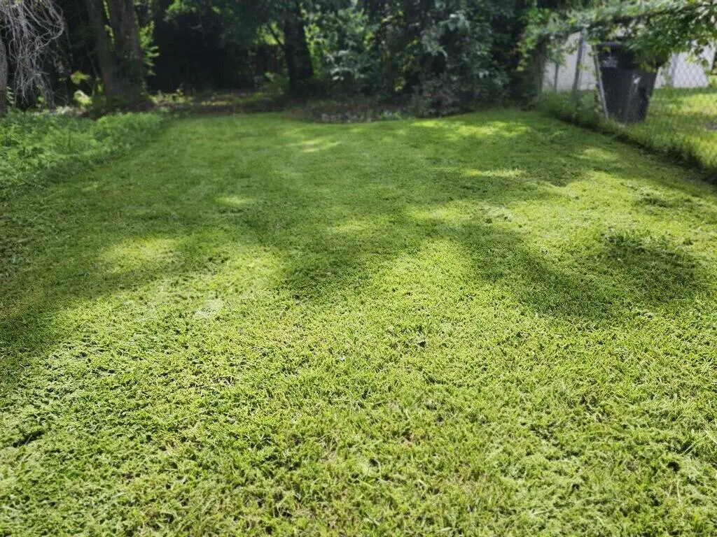 2233 Easton Street, North Charleston, SC 29405 - #1
