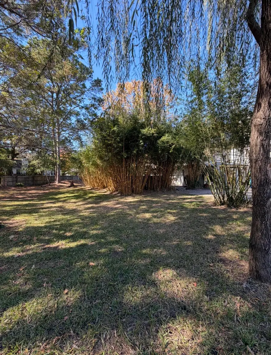 517 Joseph Street, Charleston, SC 29412 - Image #3