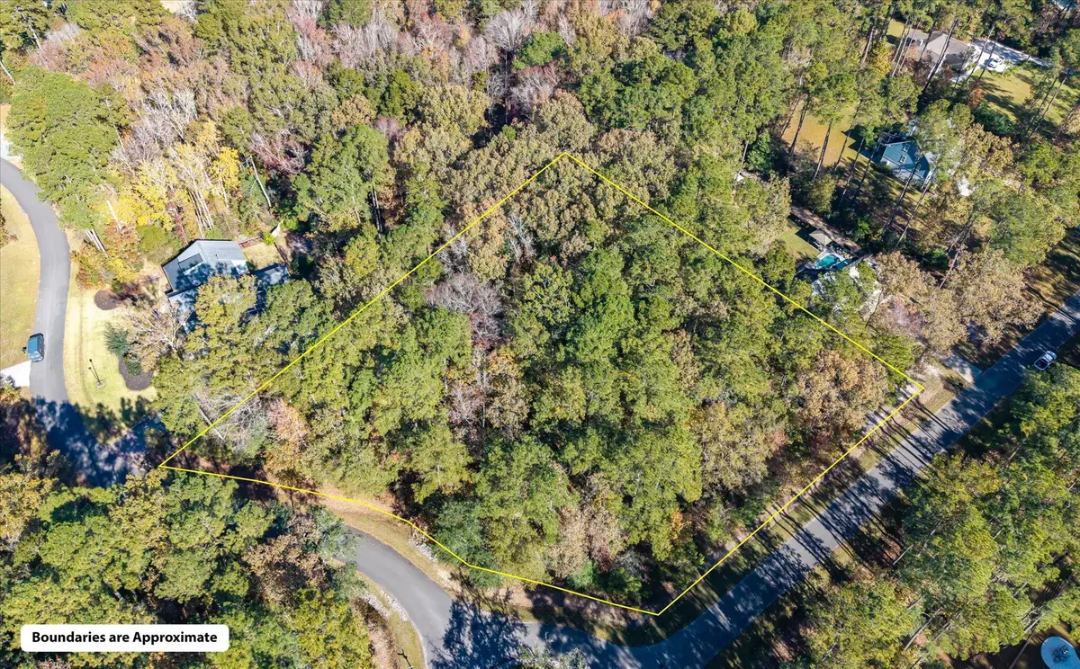 28 Buttonbush Drive, Ravenel, SC 29470 - Image #1