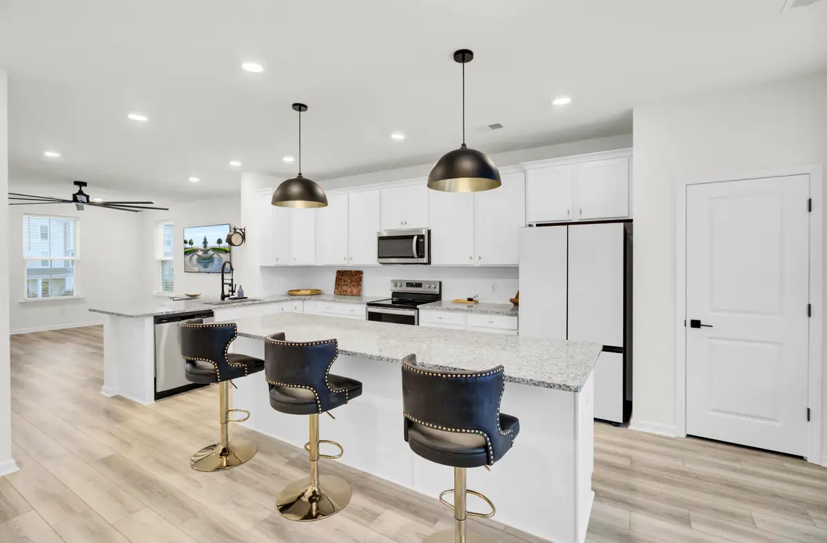 352 Herty Park Drive, Moncks Corner, SC 29461 - Image #1