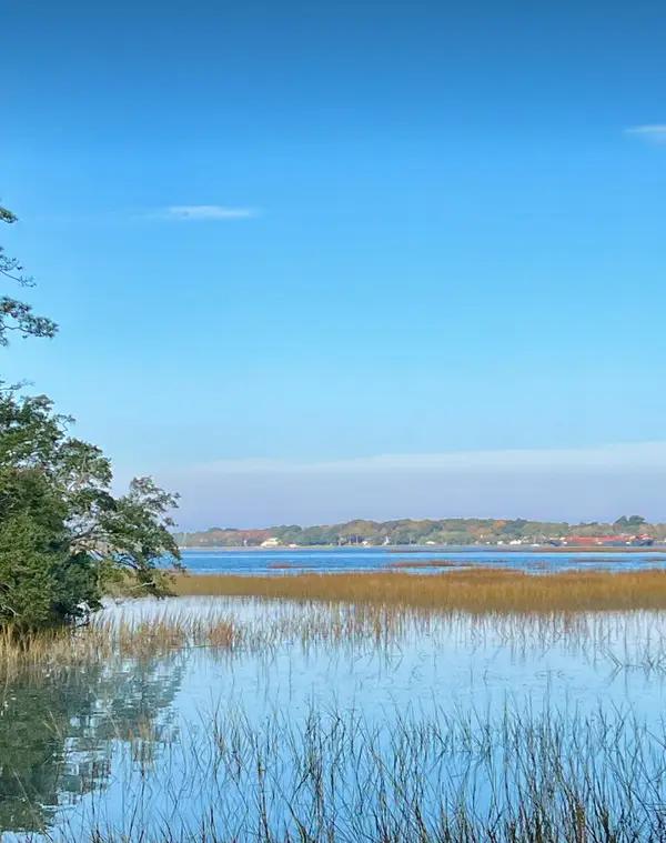 Lot 35 Josie Ridge, Wadmalaw Island, SC 29487