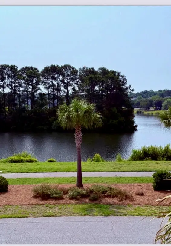 2919 Waterleaf Road, Johns Island, SC 29455 - Image #3