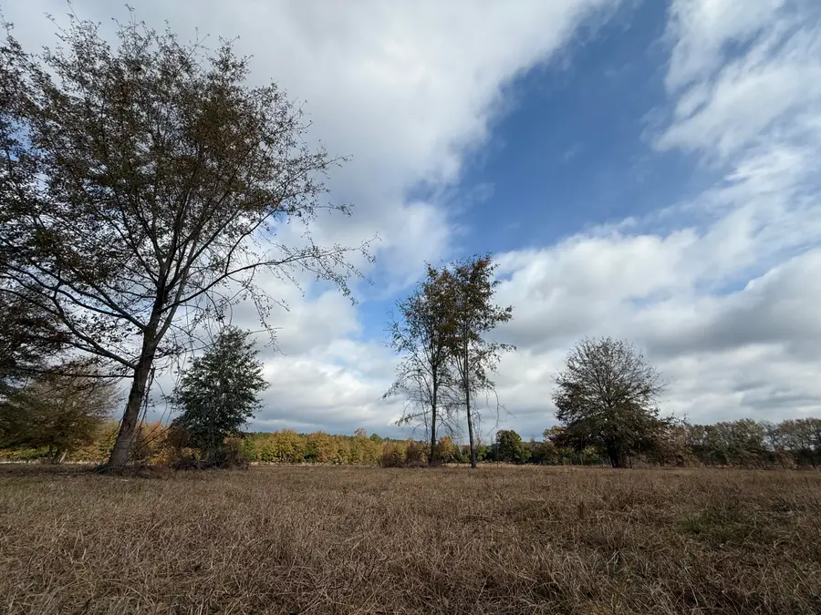 0000 Sc-39 Highway, Williston, SC 29853 - #2