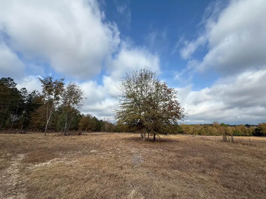 0000 Sc-39 Highway, Williston, SC 29853 - #3