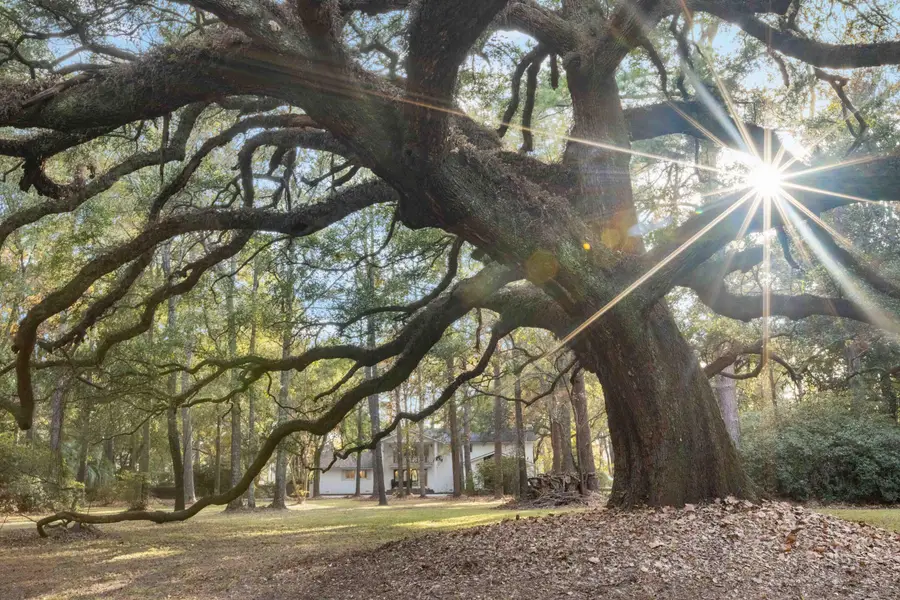 9875 Jamison Road, Summerville, SC 29485 - Image #2